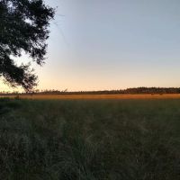 Hopkins Prairie Campground ico