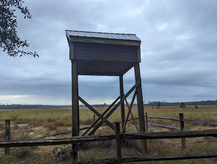 Hopkins Prairie Campground Picture 2