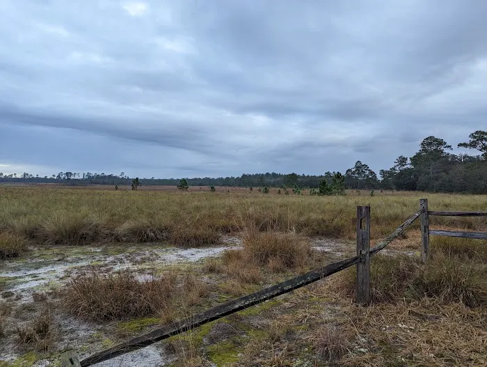 Hopkins Prairie Campground Picture 3