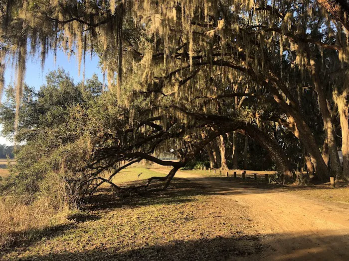 Hopkins Prairie Campground Picture 4
