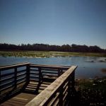 Lake Eaton Campground