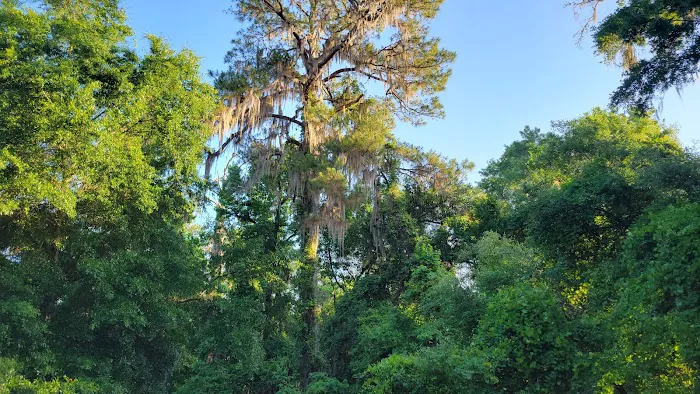 Lake Eaton Campground Picture 5