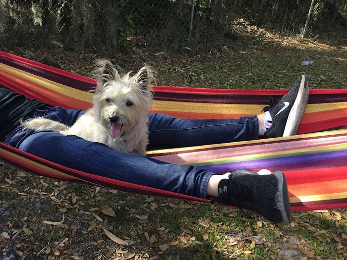 Parramore's Campground Picture 7