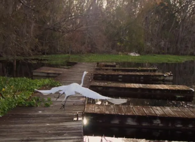 Parramore's Campground Picture 10