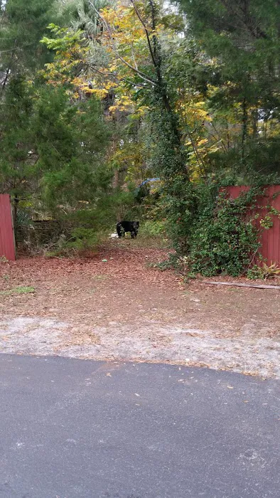 St Johns River Camp Ground Inc Picture 9