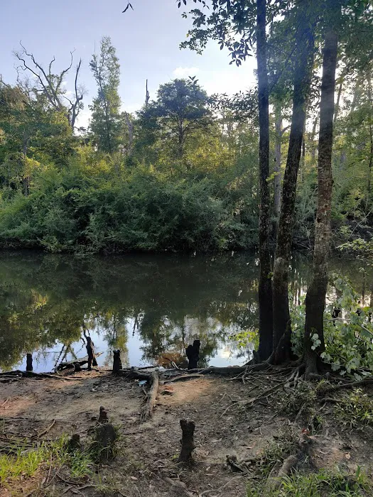 Christoff Landing Campsite Picture 6