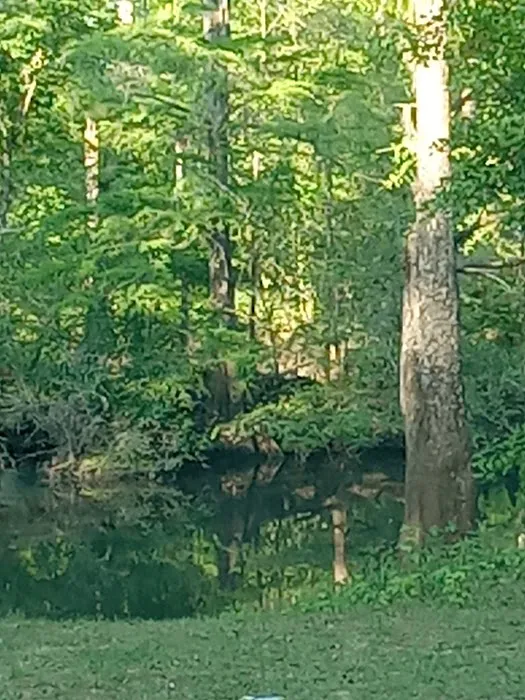 Christoff Landing Campsite Picture 8