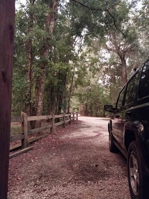 Christoff Landing Campsite Picture 5