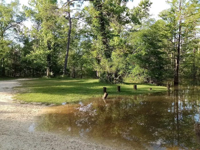 Christoff Landing Campsite Picture 10