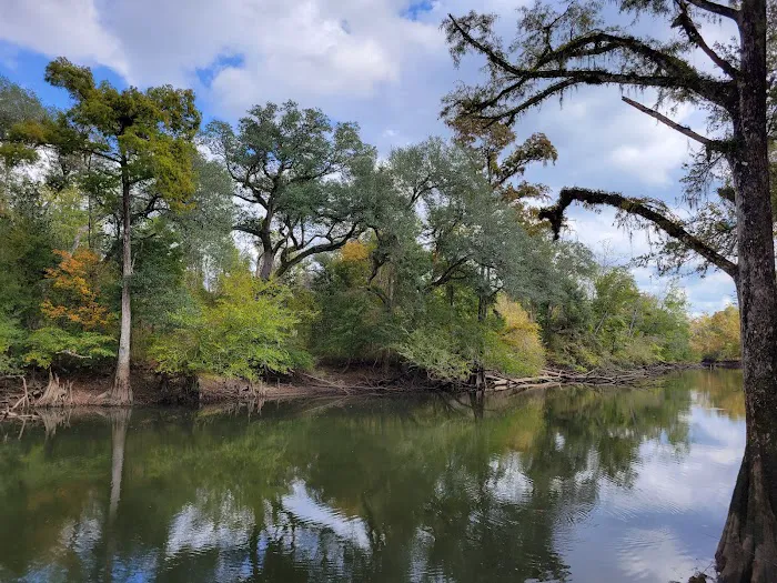 Christoff Landing Campsite Picture 1