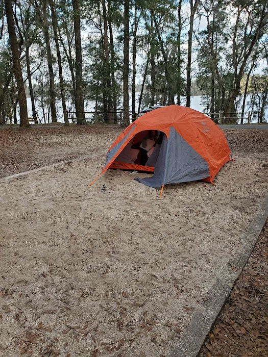 Hall Landing Campground Picture 5
