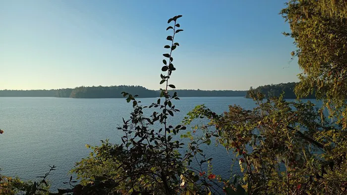 Hall Landing Campground Picture 1