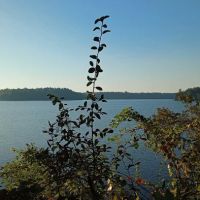 Hall Landing Campground ico