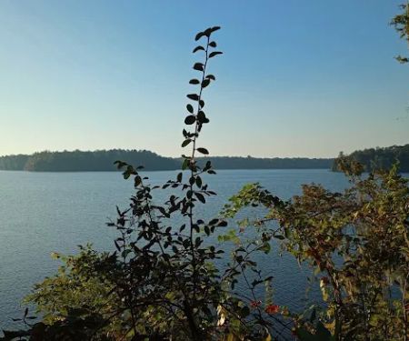 Hall Landing Campground