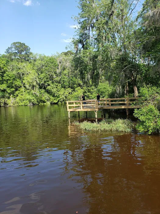Hall Landing Campground Picture 2
