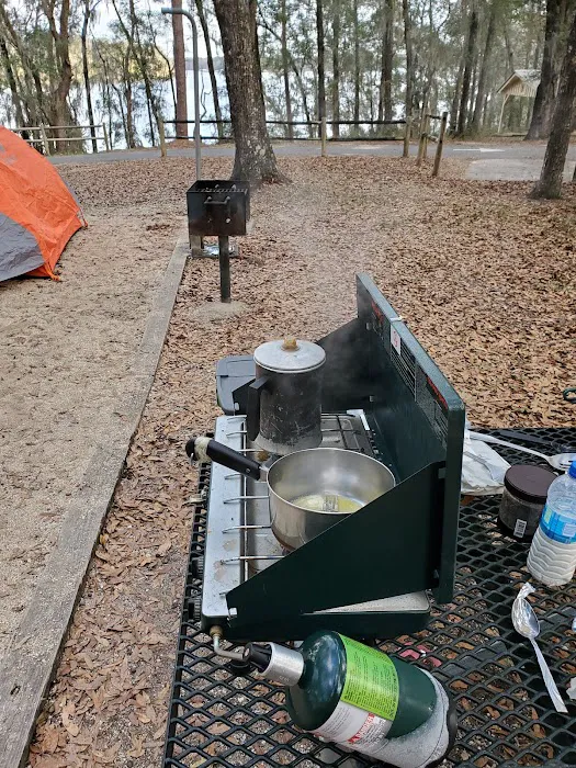 Hall Landing Campground Picture 6