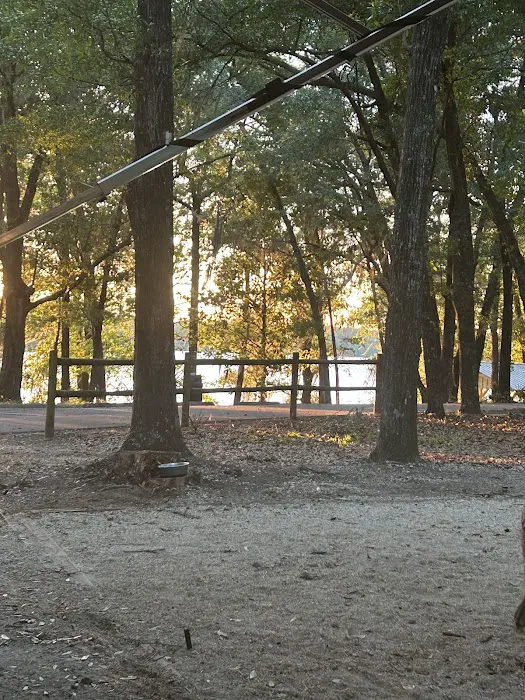 Hall Landing Campground Picture 4