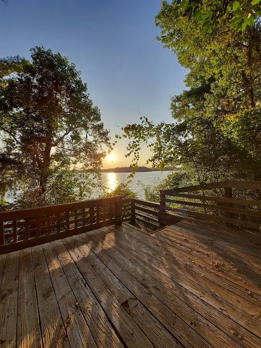Hall Landing Campground Picture 7