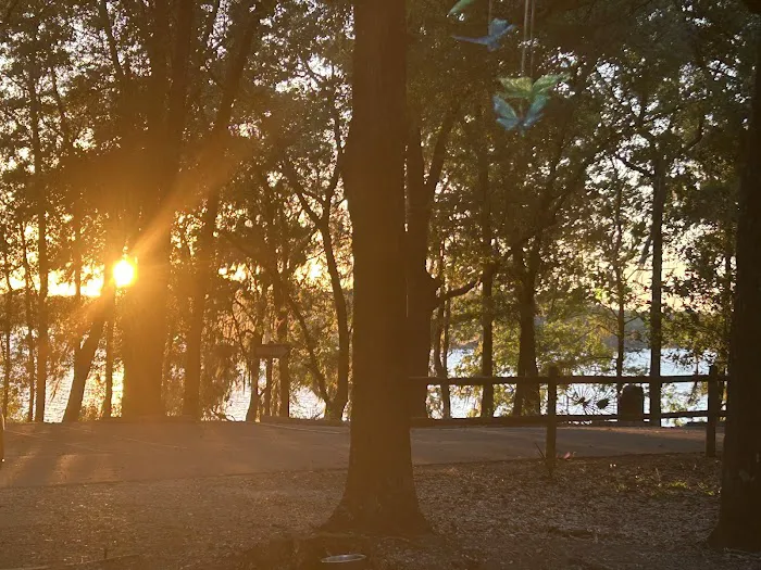 Hall Landing Campground Picture 9
