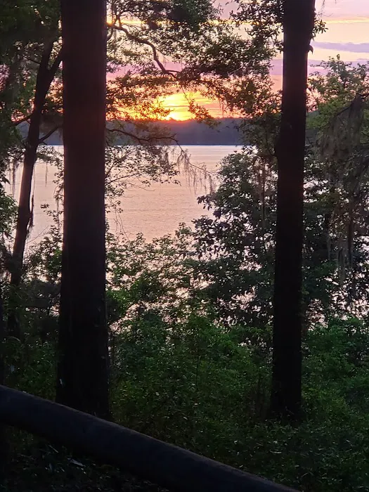 Hall Landing Campground Picture 8