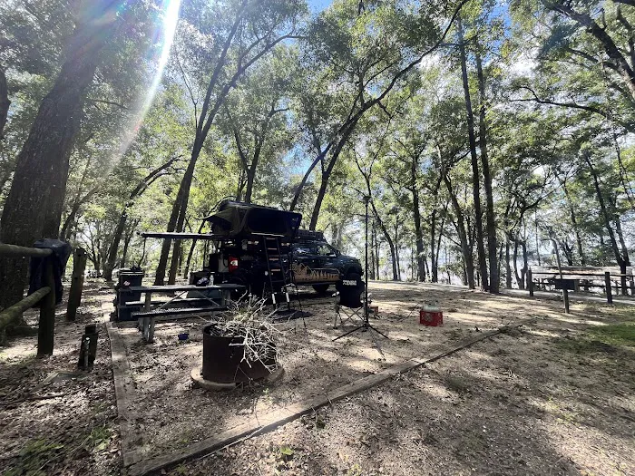 Hall Landing Campground Picture 10