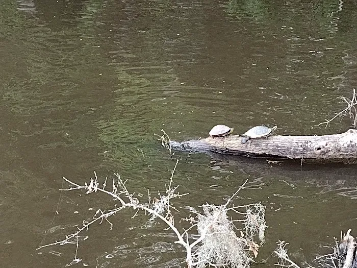 High Bluff Campground Picture 7