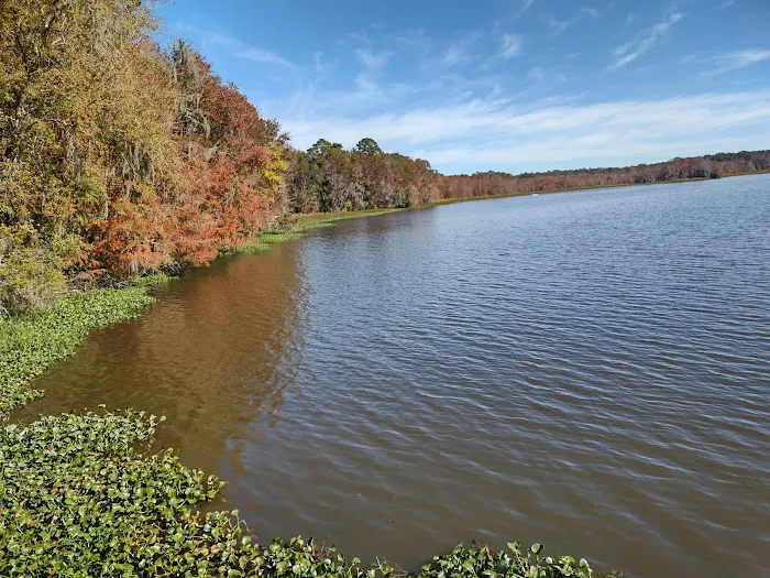 High Bluff Campground Picture 2