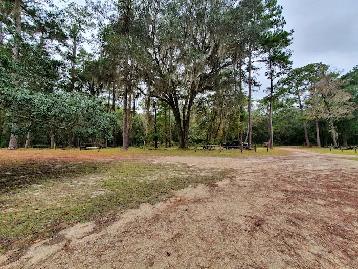 High Bluff Campground Picture 8