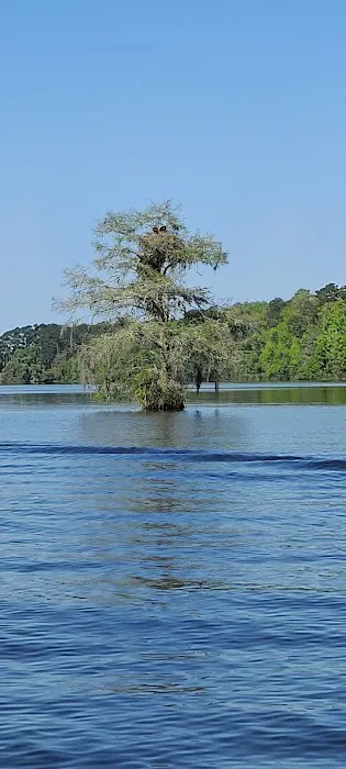 High Bluff Campground Picture 9