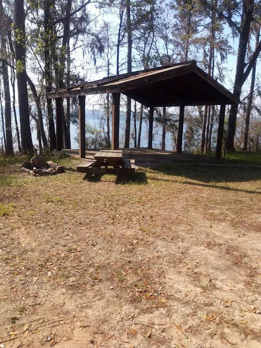 High Bluff Campground Picture 3