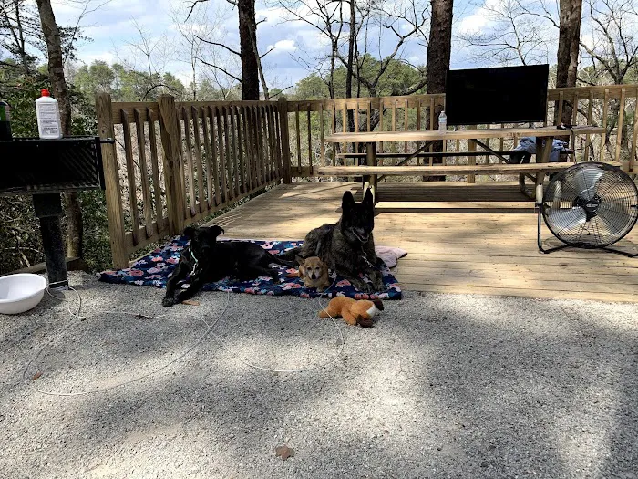 Deerlick Creek Campground Picture 6