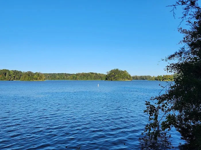Chilatchee Creek Campground Picture 2