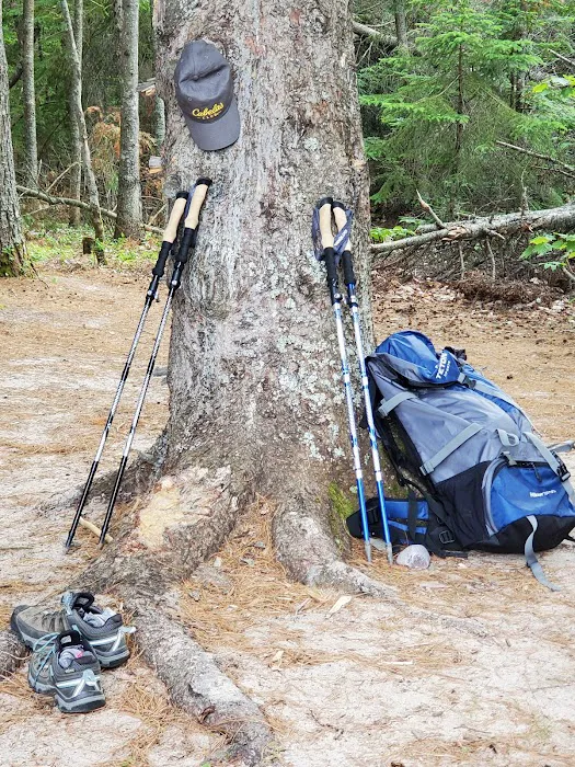 Driftwood Campsite Picture 1