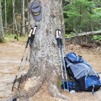 Driftwood Campsite ico