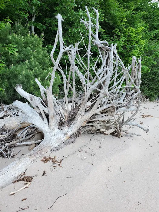 Driftwood Campsite Picture 9