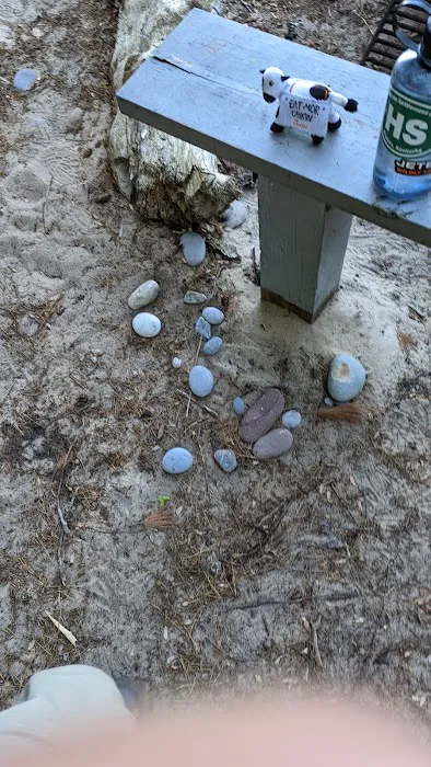 Driftwood Campsite Picture 5