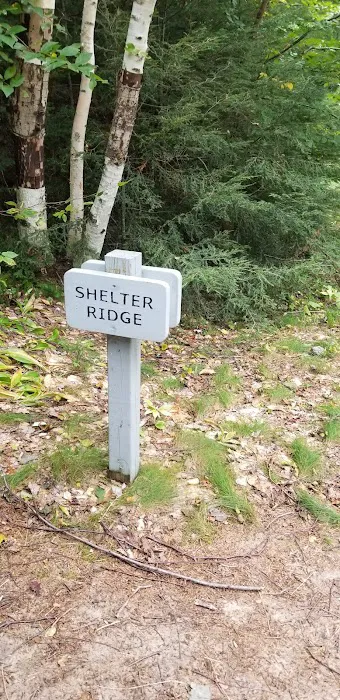 Shelter Ridge Campsite Picture 2