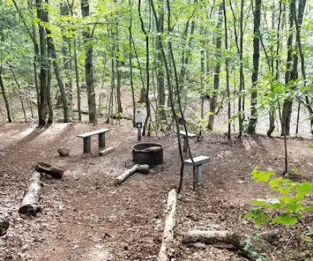 Shelter Ridge Campsite