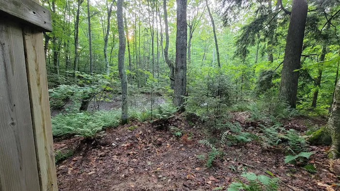 Shelter Ridge Campsite Picture 4