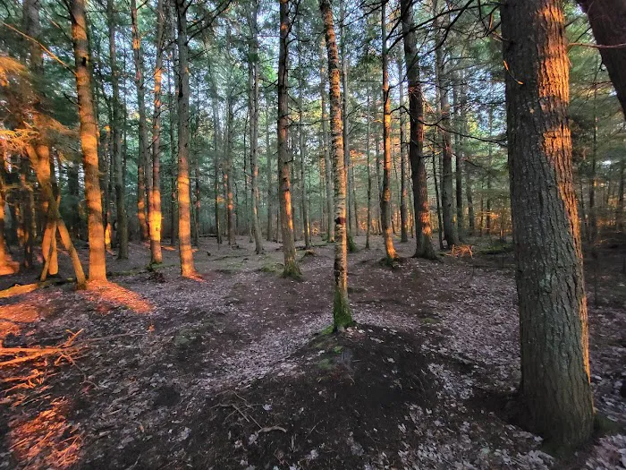 Gamefence Campsite Picture 3