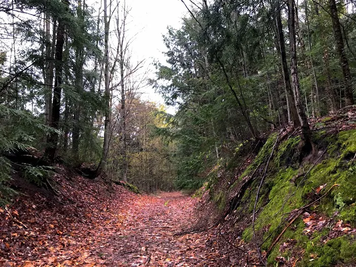 Fort Superior Campground Picture 1