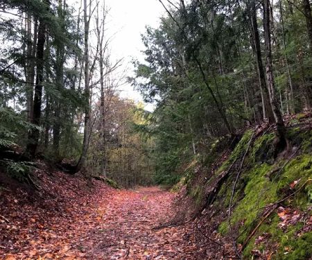 Fort Superior Campground