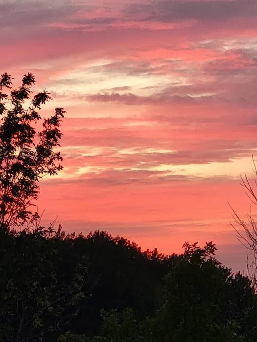 Shady Acres Campsites Picture 5