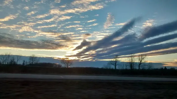 Shady Acres Campsites Picture 2