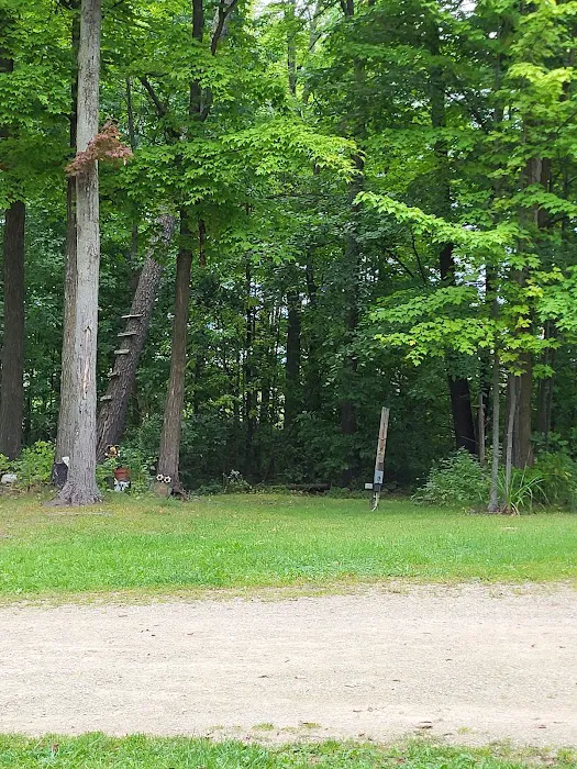 Shady Acres Campsites Picture 4