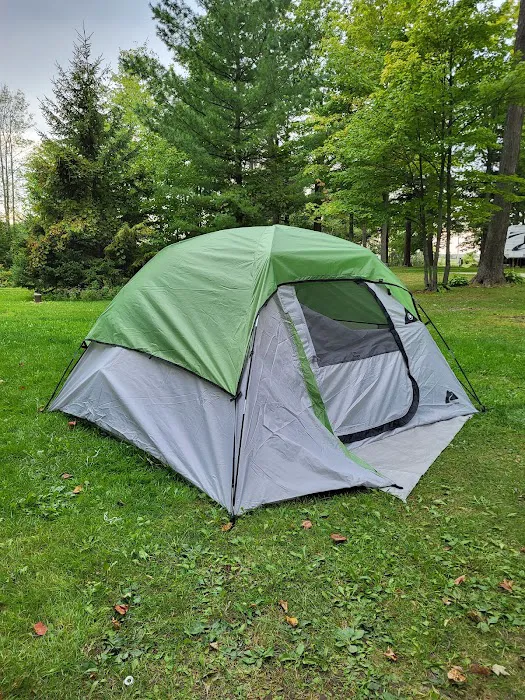 Shady Acres Campsites Picture 3