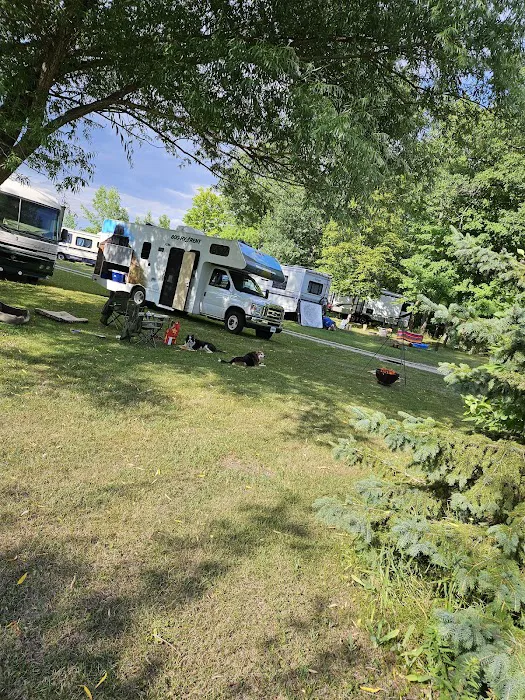 Shady Acres Campsites Picture 8