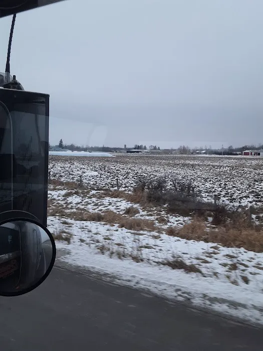 Shady Acres Campsites Picture 6