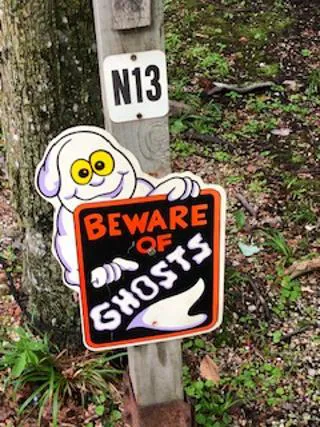 Maple View Campground Picture 7