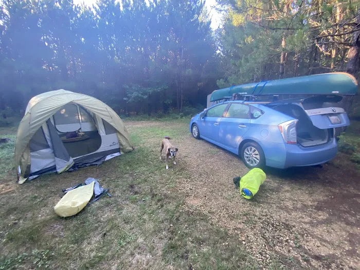 Glowconsin Picture 1